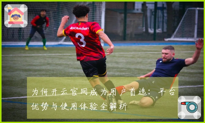 为何开云官网成为用户首选：平台优势与使用体验全解析